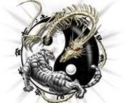 pic for yin yang dragon